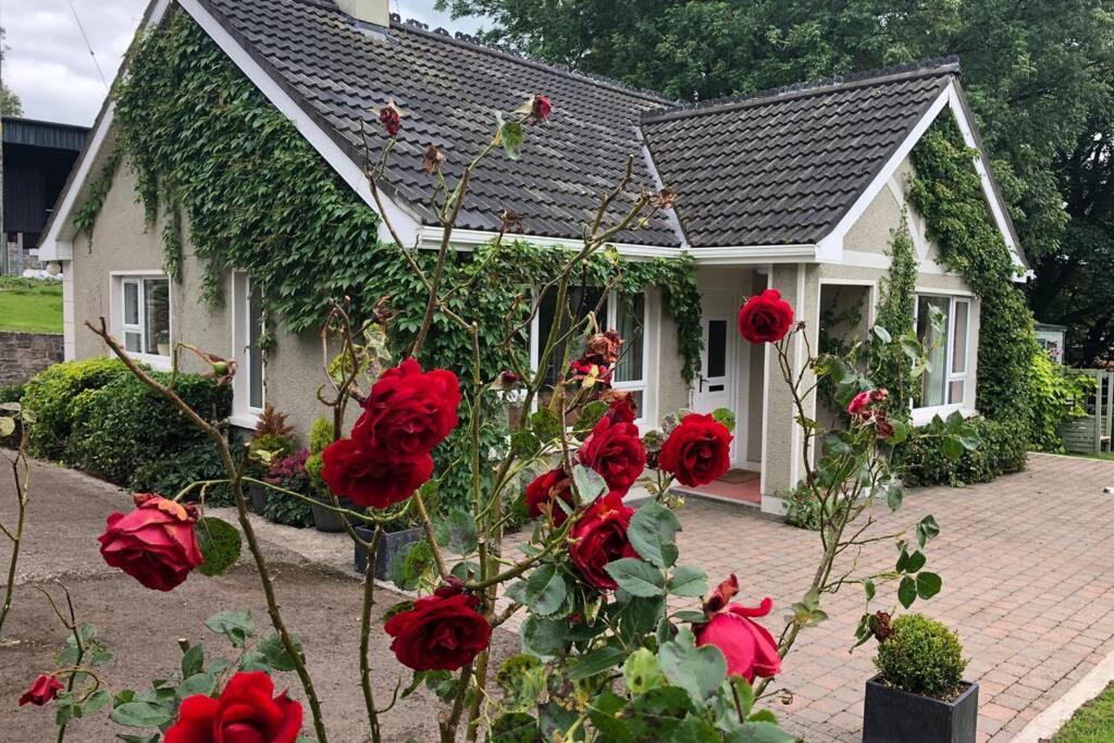 Rhubarb Cottage เอนนิสคิลเลน ภายนอก รูปภาพ
