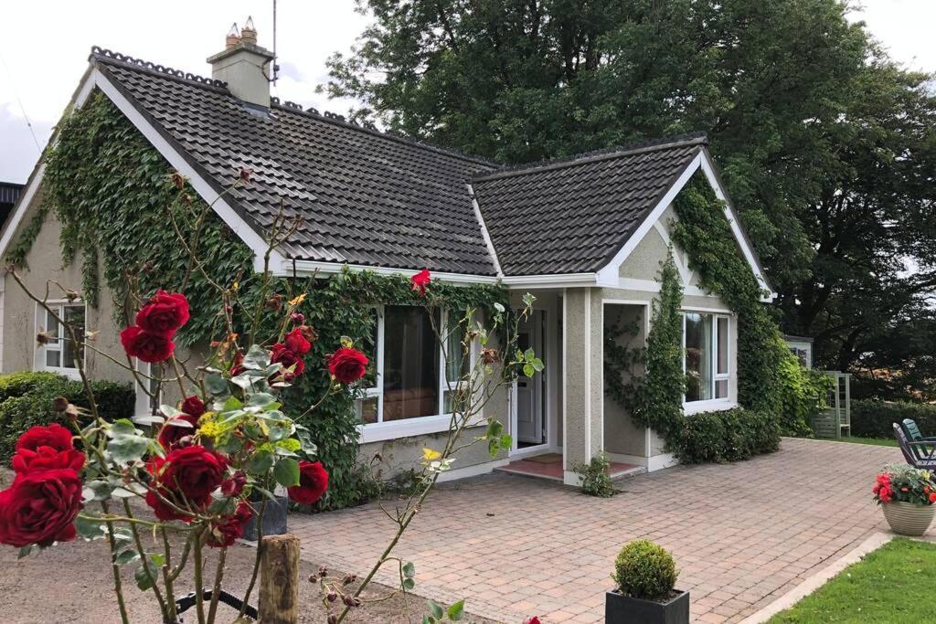 Rhubarb Cottage เอนนิสคิลเลน ภายนอก รูปภาพ